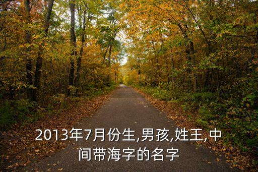 王海星