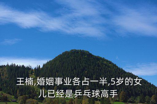 王楠