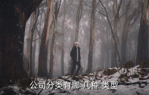 公司分類有哪 幾種 類型