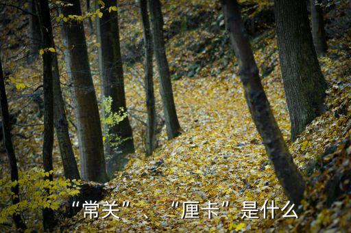 “常關(guān)”、“厘卡”是什么