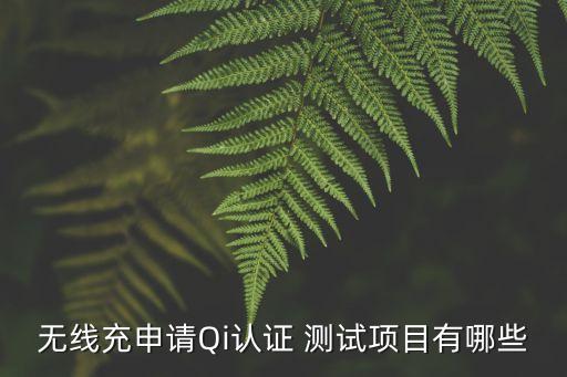 符合性測試,審計中的符合性測試