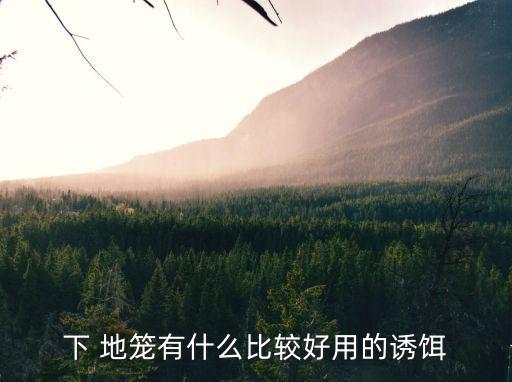 地籠放什么最招魚,地籠網(wǎng)批發(fā)圖片及價(jià)格