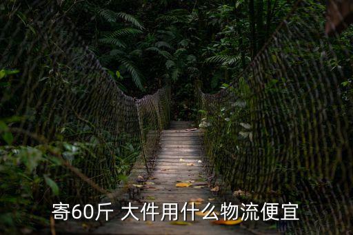 寄60斤 大件用什么物流便宜