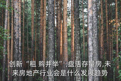 創(chuàng)新“租 購并舉”,盤活存量房,未來房地產(chǎn)行業(yè)會是什么發(fā)展趨勢