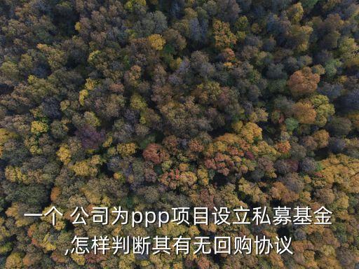 一個(gè) 公司為ppp項(xiàng)目設(shè)立私募基金,怎樣判斷其有無回購協(xié)議