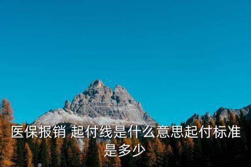 起付線