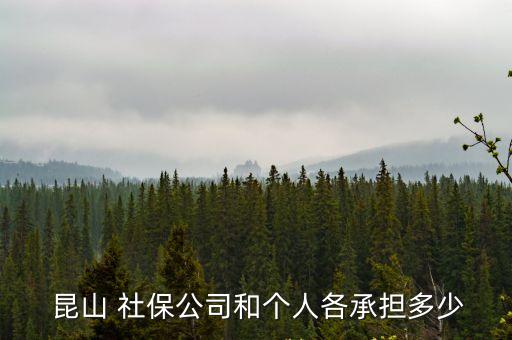  昆山 社保公司和個(gè)人各承擔(dān)多少