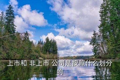 非上市公眾公司,三板公司是非上市公眾公司