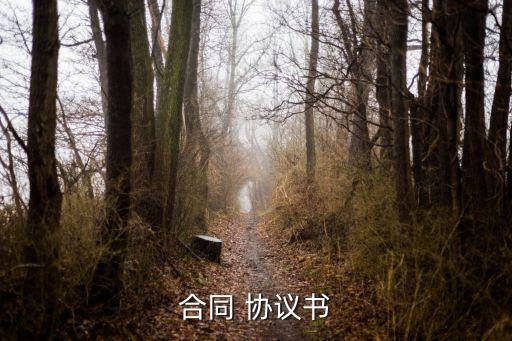 經(jīng)濟(jì)糾紛協(xié)議書怎么寫才有效,私人手寫的協(xié)議有法律效力嗎