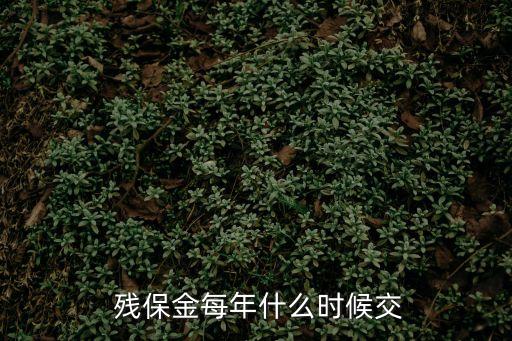  殘保金每年什么時候交