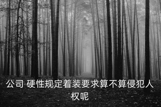 公司 硬性規(guī)定著裝要求算不算侵犯人權(quán)呢