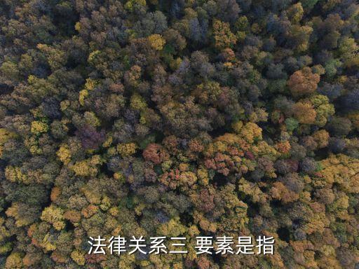  法律關(guān)系三 要素是指