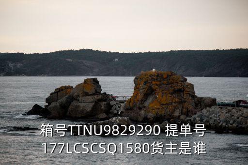 箱號(hào)TTNU9829290 提單號(hào)177LCSCSQ1580貨主是誰(shuí)