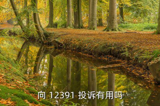 向 12391 投訴有用嗎