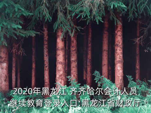2020年黑龍江 齊齊哈爾會計人員繼續(xù)教育登錄入口:黑龍江省財政廳
