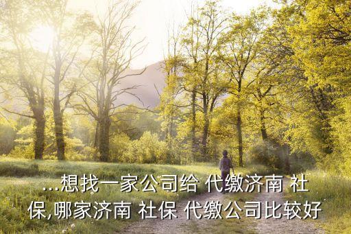 ...想找一家公司給 代繳濟(jì)南 社保,哪家濟(jì)南 社保 代繳公司比較好