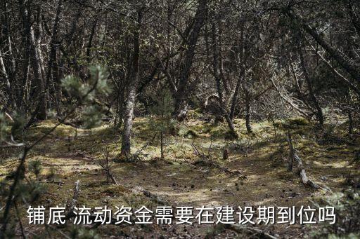  鋪底 流動(dòng)資金需要在建設(shè)期到位嗎