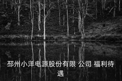 福利公司,剛察縣吉騰福利公司