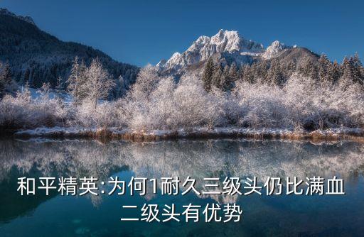 一級(jí)頭