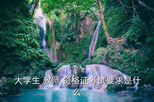 大學(xué)教師資格證報考條件