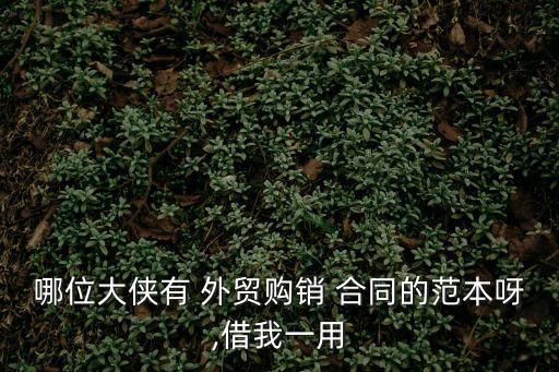 服裝外貿(mào)合同模板,外貿(mào)合同模板中英文