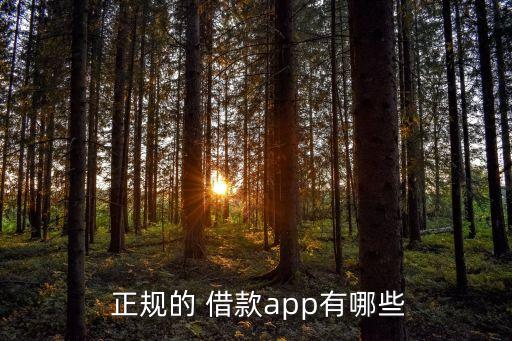 十大正規(guī)借款平臺(tái)
