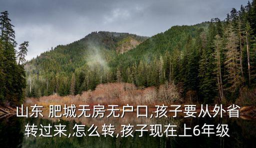 肥城租房