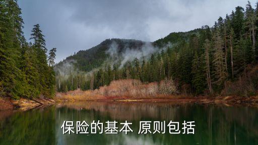 損失補(bǔ)償原則