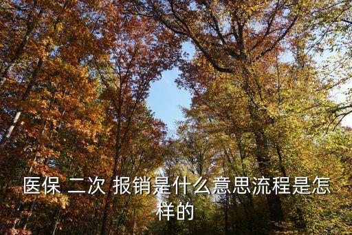 醫(yī)保 二次 報銷是什么意思流程是怎樣的