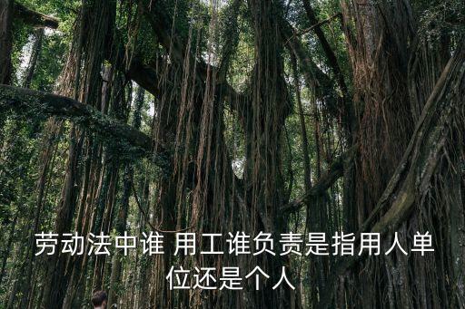  勞動(dòng)法中誰(shuí) 用工誰(shuí)負(fù)責(zé)是指用人單位還是個(gè)人