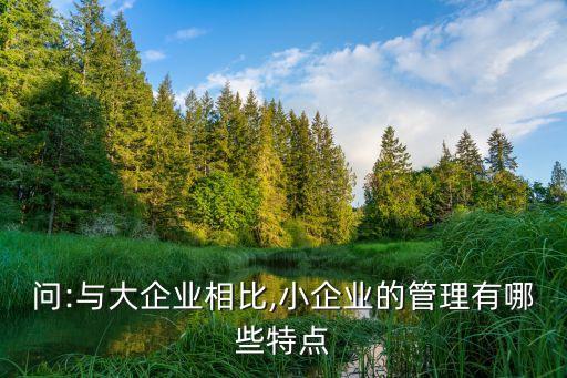 問:與大企業(yè)相比,小企業(yè)的管理有哪些特點