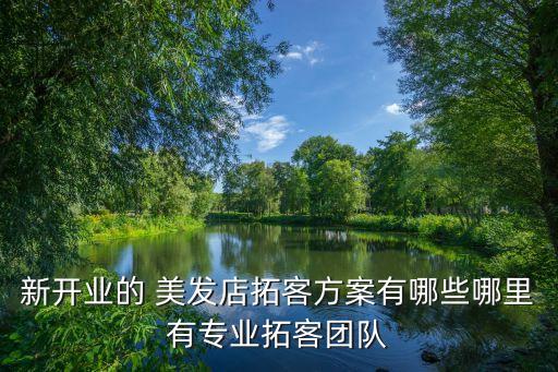 新開業(yè)的 美發(fā)店拓客方案有哪些哪里有專業(yè)拓客團隊