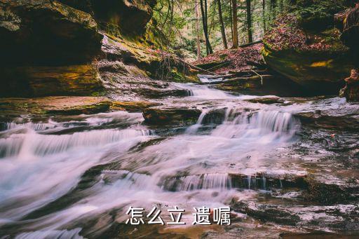 如何立遺囑,夫妻共同財(cái)產(chǎn)如何立遺囑