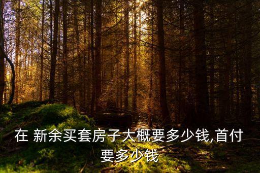 在 新余買套房子大概要多少錢,首付要多少錢