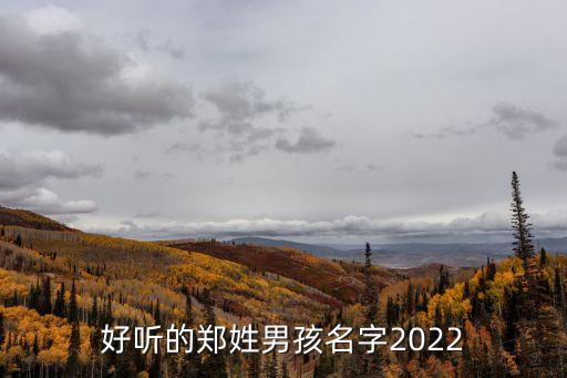 鄭昕,鄭明明眼霜產(chǎn)品效果是真的嗎