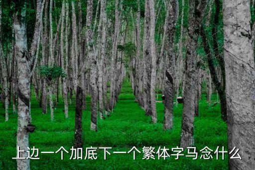 上邊一個(gè)加底下一個(gè)繁體字馬念什么