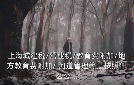 上海城建稅/營業(yè)稅/教育費附加/地方教育費附加/ 河道管理等是按照什么公...