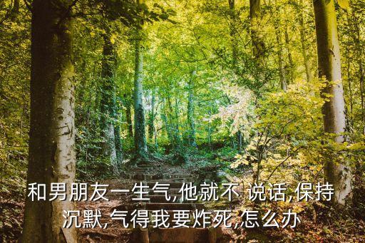 他不說話,小說漂亮的他不說話