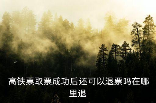  高鐵票取票成功后還可以退票嗎在哪里退