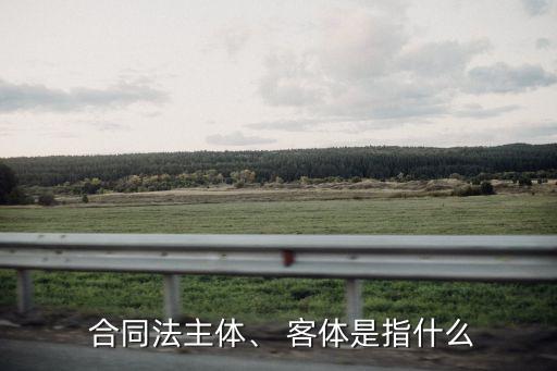  合同法主體、 客體是指什么
