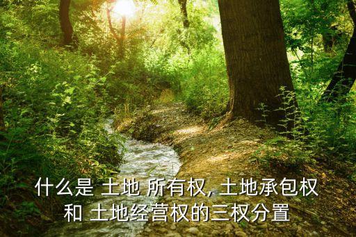 土地所有權(quán)