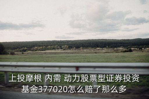 上投摩根 內(nèi)需 動力股票型證券投資基金377020怎么賠了那么多
