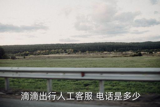 滴滴電話