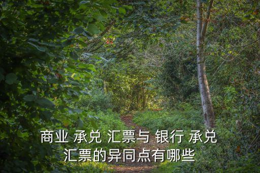 銀行承兌匯票和商業(yè)承兌匯票的區(qū)別,電子銀行承兌匯票和商業(yè)承兌匯票的區(qū)別