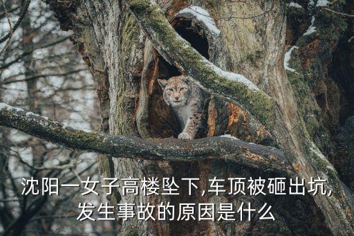 高空墜樓,中惠璧瓏灣高空墜樓