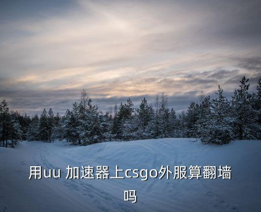 用uu 加速器上csgo外服算翻墻嗎