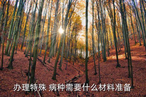 辦理特殊 病種需要什么材料準備