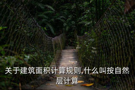 自然層