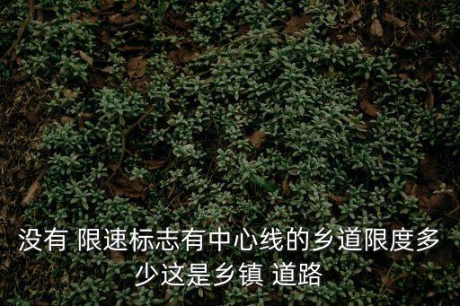 沒有 限速標(biāo)志有中心線的鄉(xiāng)道限度多少這是鄉(xiāng)鎮(zhèn) 道路