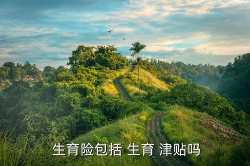 生育險(xiǎn)和生育津貼是一回事嗎,廈門生育險(xiǎn)和生育津貼是一回事嗎